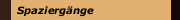 Spazierg&auml;nge